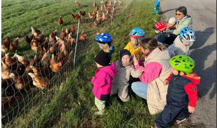 Kinder der ARCHE beim Beobachten von Hühnern