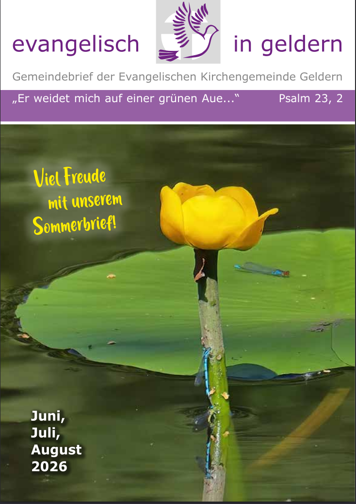 Gelbe Blüte auf grünem Seerosenblatt im Wasser mit gelbem Text 'Viel Freude mit unserem Sommerbrief' und weißem Text 'Juni, Juli, August 2026'