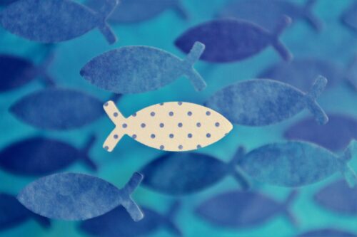 Eine Gruppe blauer Fische schwimmt in eine Richtung, ein hellgelber Fisch mit blauen Punkten schwimmt entgegengesetzt